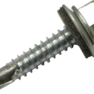 Τρυπανόβιδες