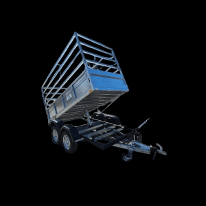 PhotoRoom 20230310 145729